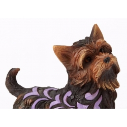 Pies Izzie (Yorkshire Terrier) jork 4056959 Jim Shore