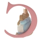 Literka C wymiar 3D Królik Piotruś  Peter Rabbit A4995 Beatrix Potter