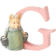 Literka G  wymiar 3D Królik Piotruś  Peter Rabbit A4999 Beatrix Potter